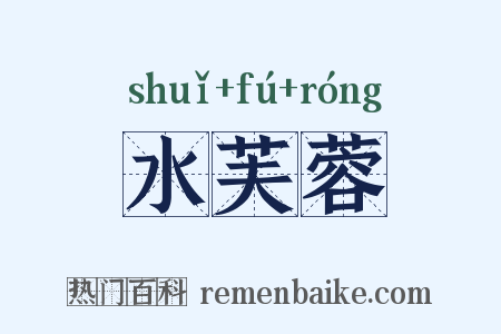 水芙蓉是什么意思的图片
